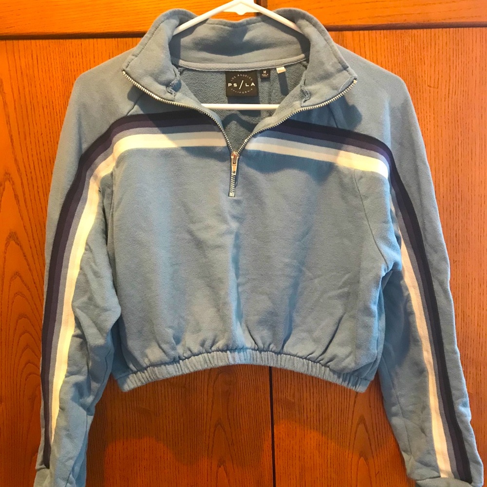 Pacsun cropped sweatshirt